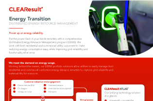 Distributed Energy Resource Management