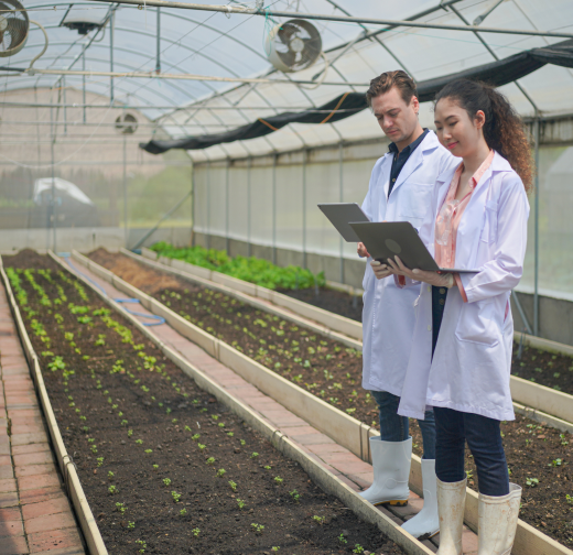 Two farmers standing on agricultural farm